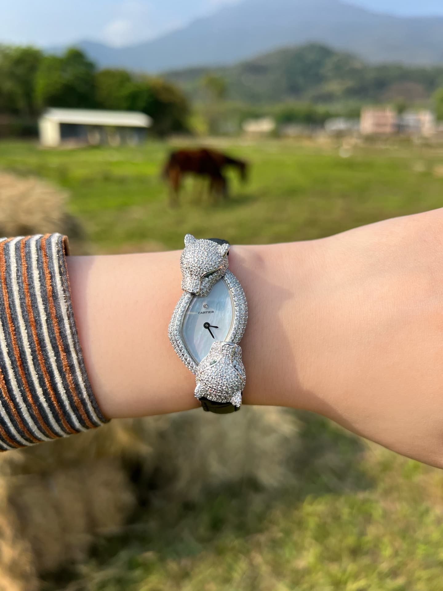Cartier Panthère Crash Jewelry Watch TOP