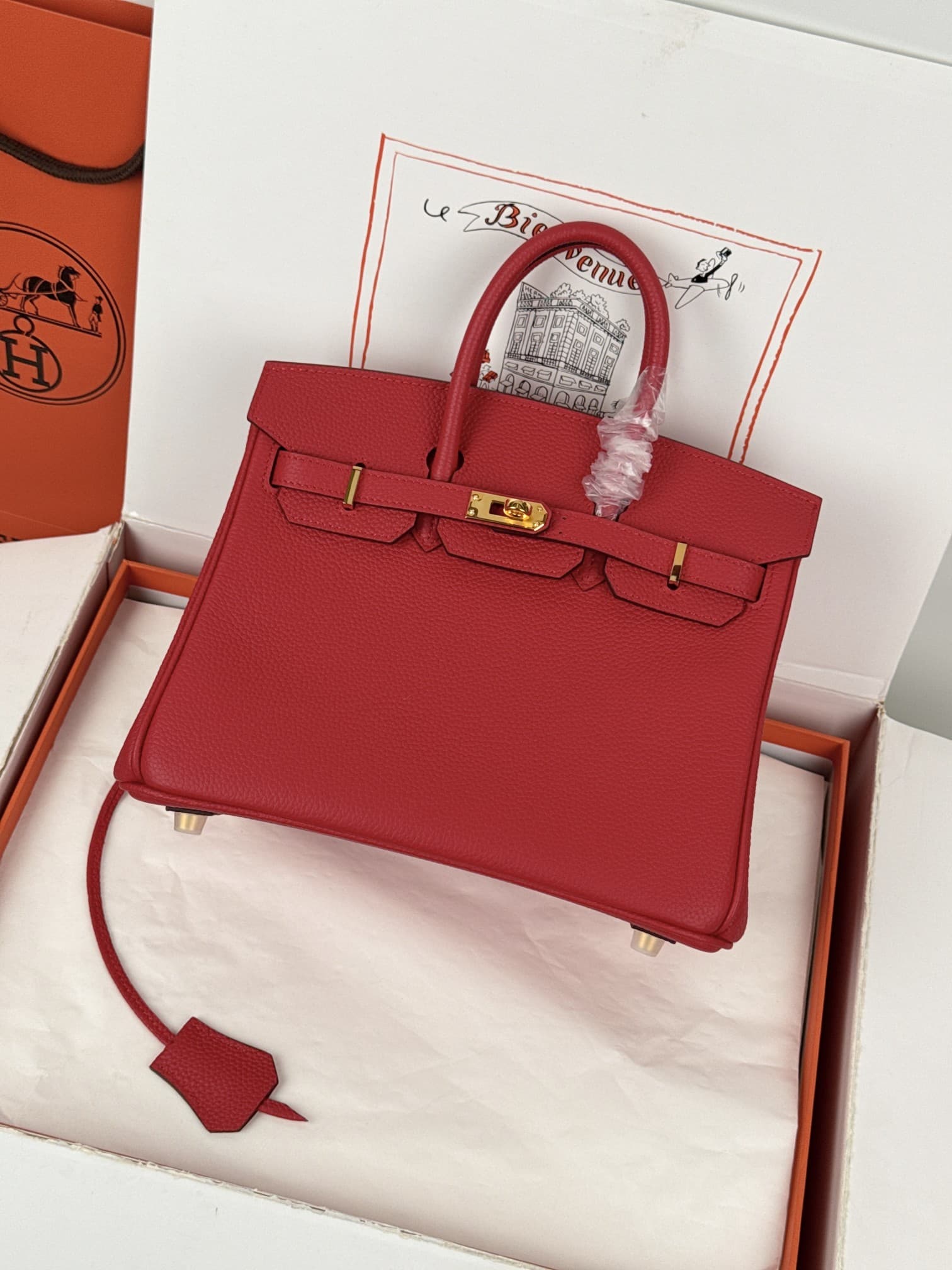 Hermes Birkin 25/30 Bag Togo Calfskin Leather High