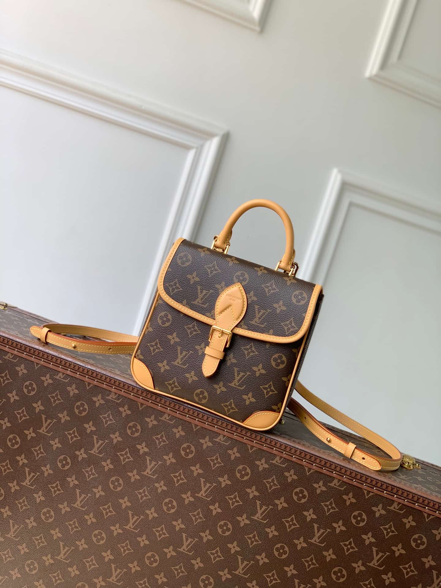 Louis Vuitton DIANE Backpack Monogram coated canvas M29766 High