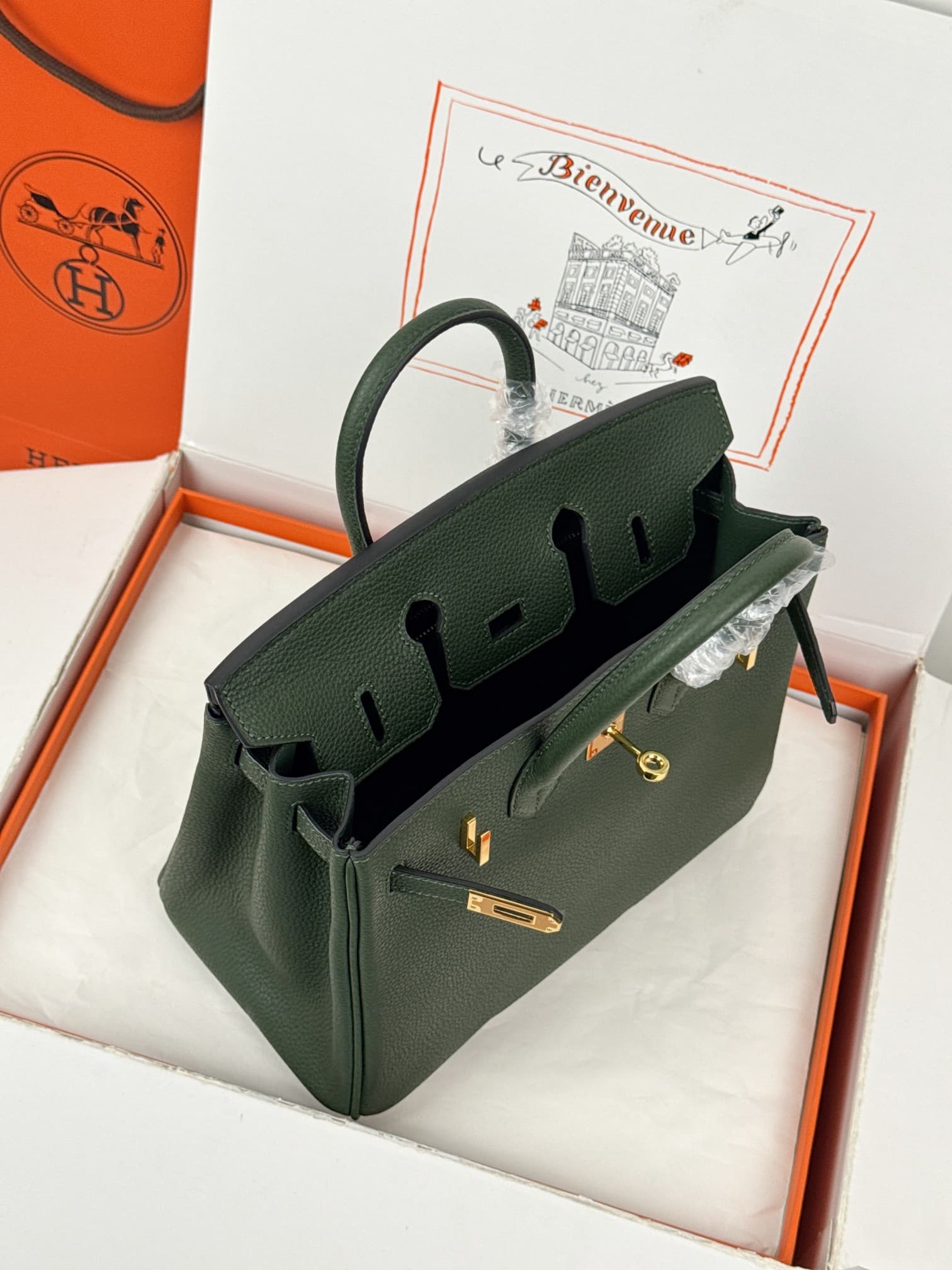 Hermes Birkin 25/30 Bag Togo Calfskin Leather Vert Anglais High