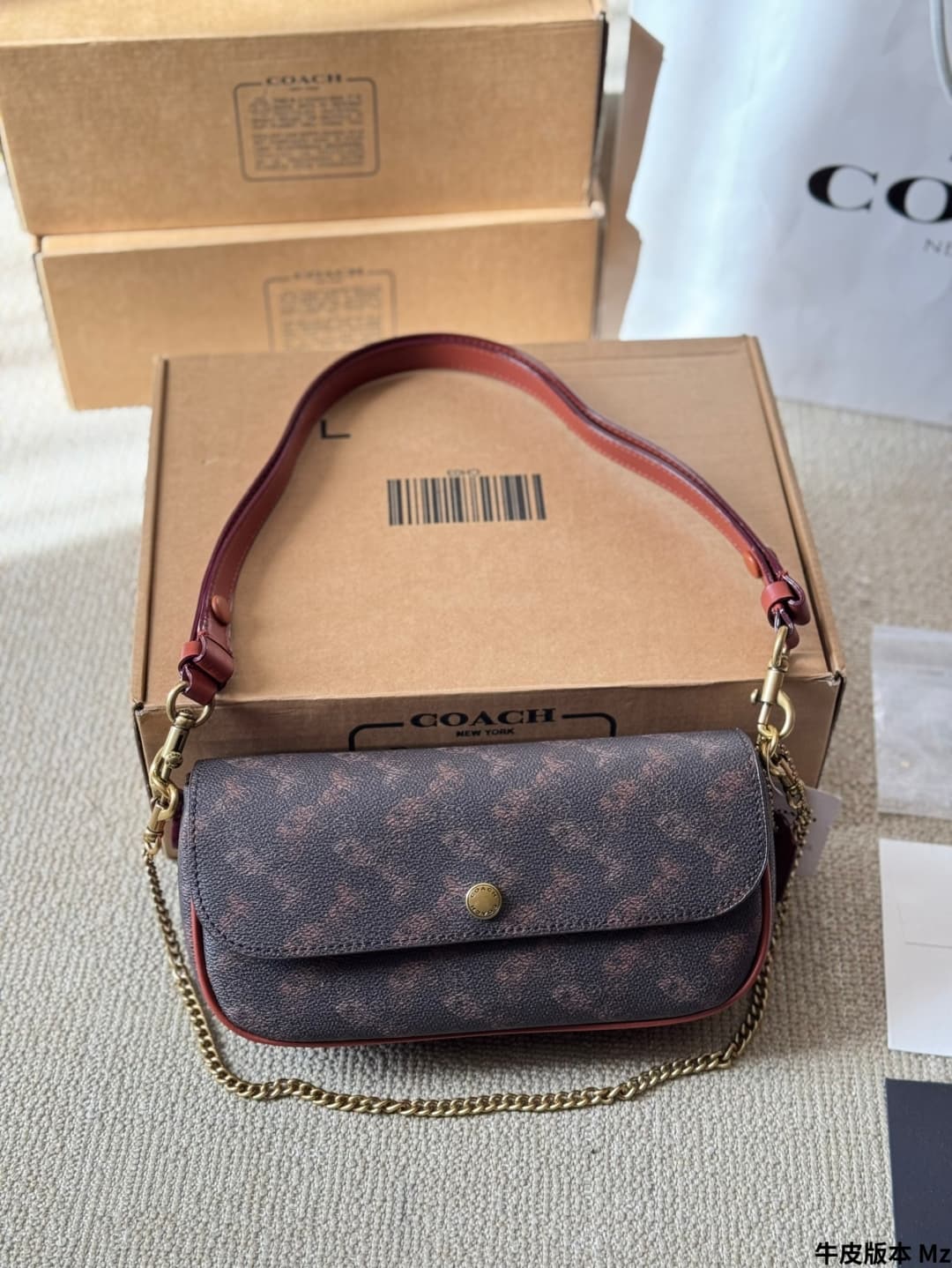 Coach Brook Flap Chain Bag