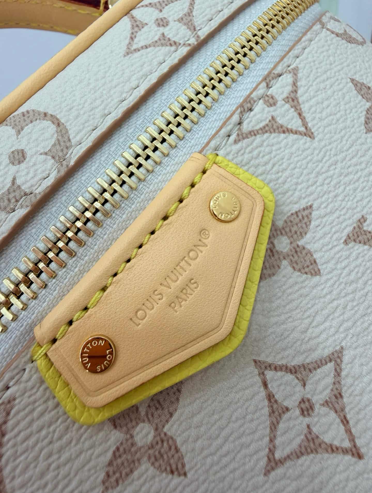 Louis Vuitton Vanity Chain Pouch Monogram Dune Coated canvas M29782 TOP