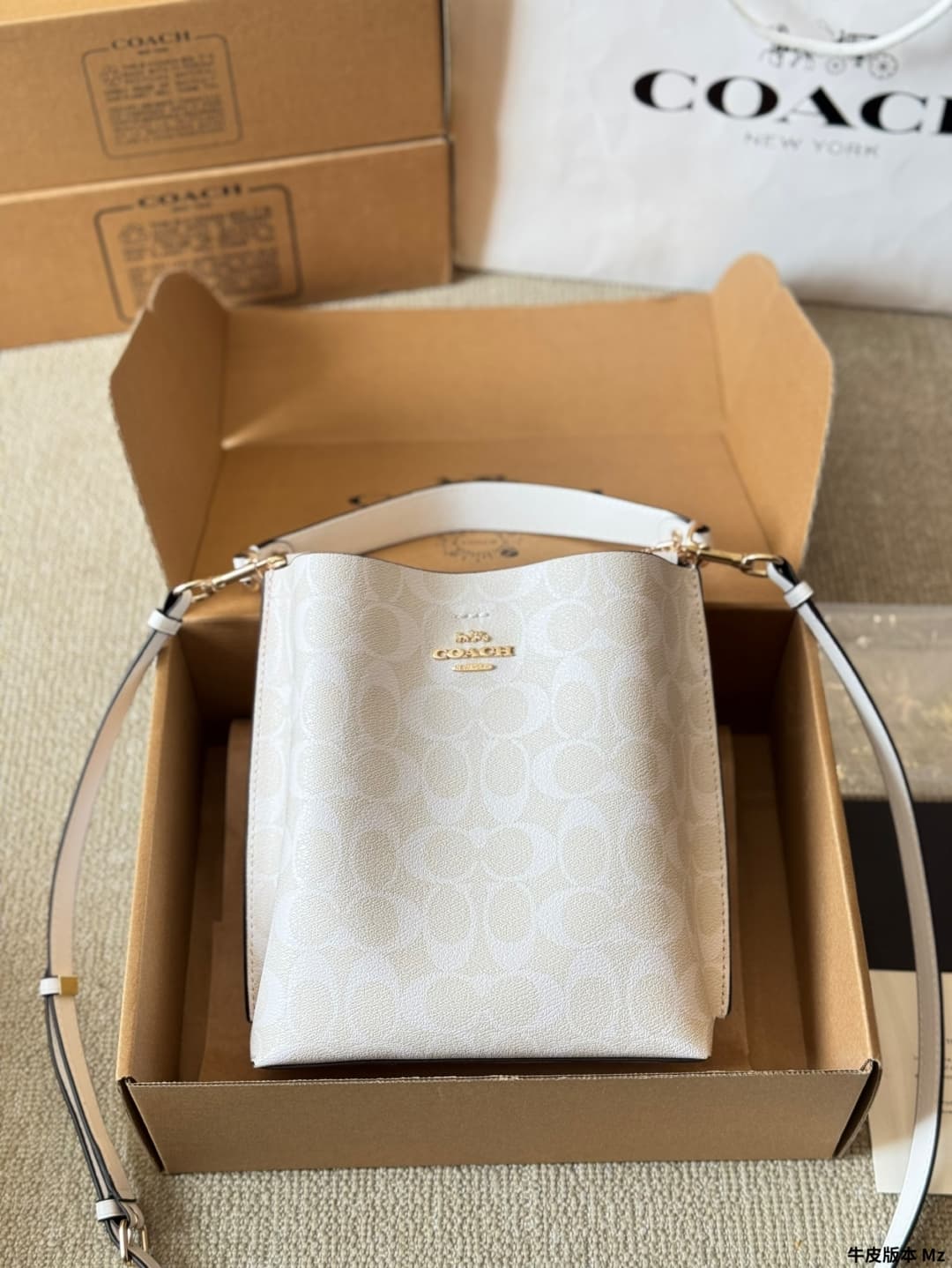 Coach Mollie Bucket Bag 22 In Signature Canvas