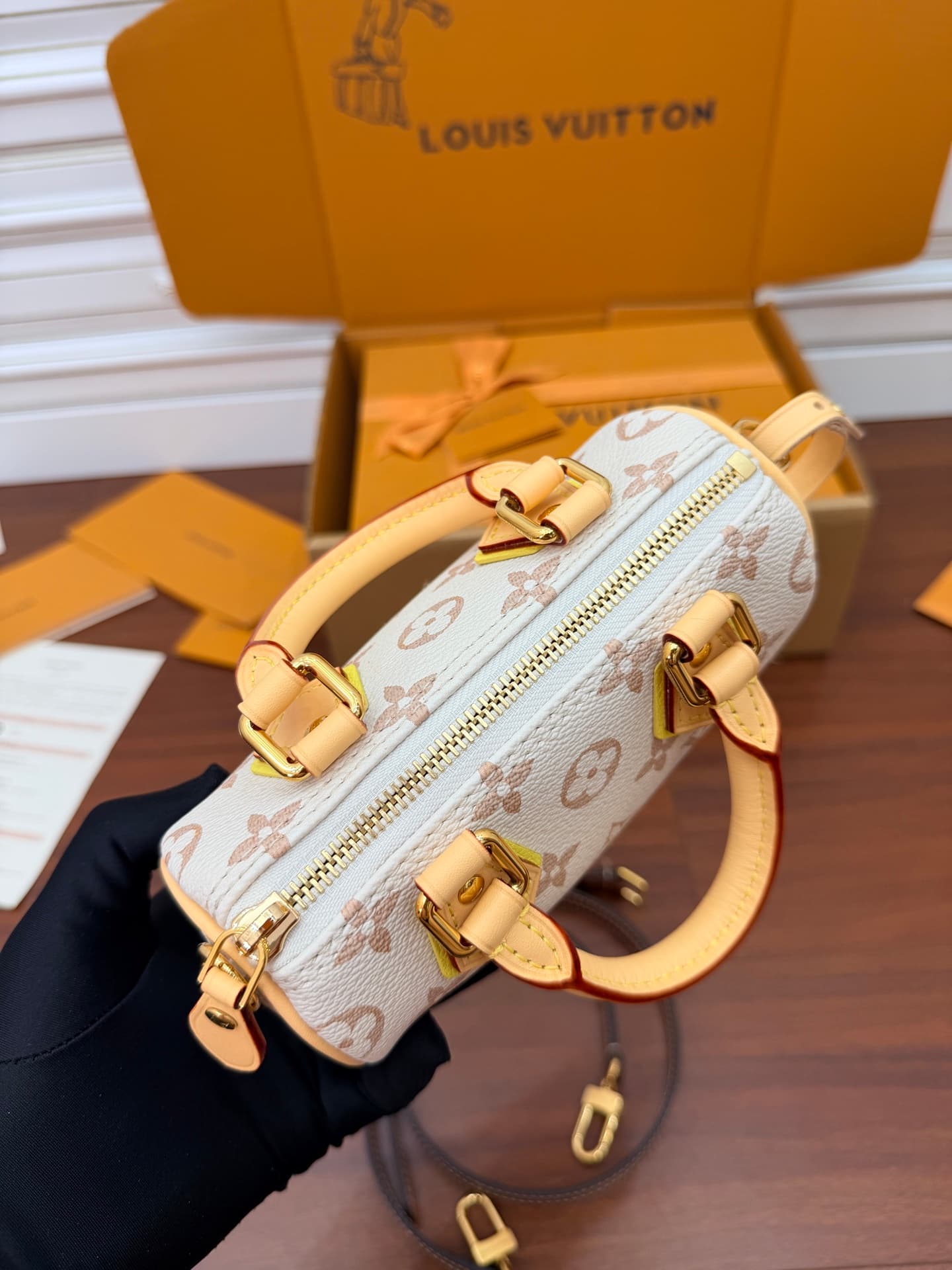 Louis Vuitton Nano Speedy Monogram Dune Coated canvas M29781 TOP