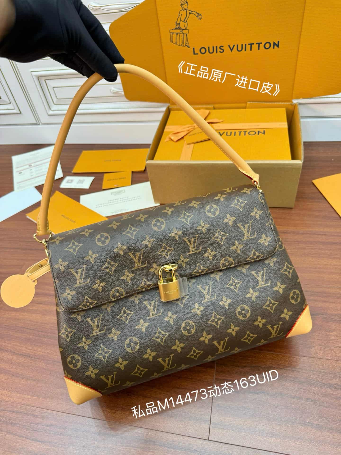 Louis Vuitton Hide Away MM Monogram Coated canvas M14473 TOP