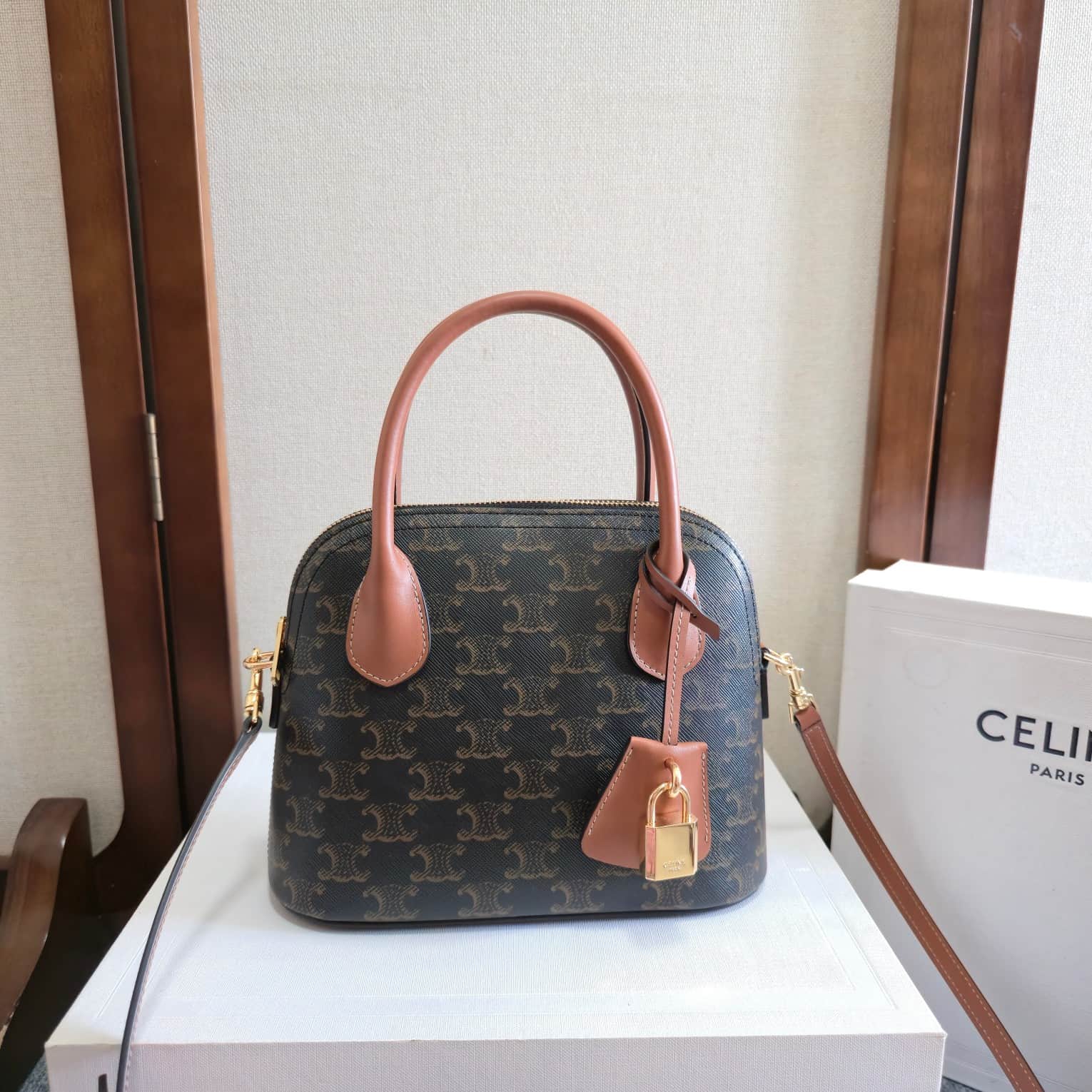 Celine Teen Honorine Bag in Triomphe Canvas and Calfskin High