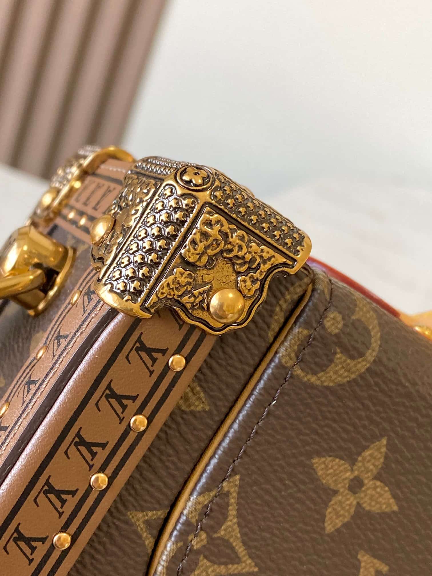 Louis Vuitton Montsouris Trunk Monogram coated canvas M15166 TOP