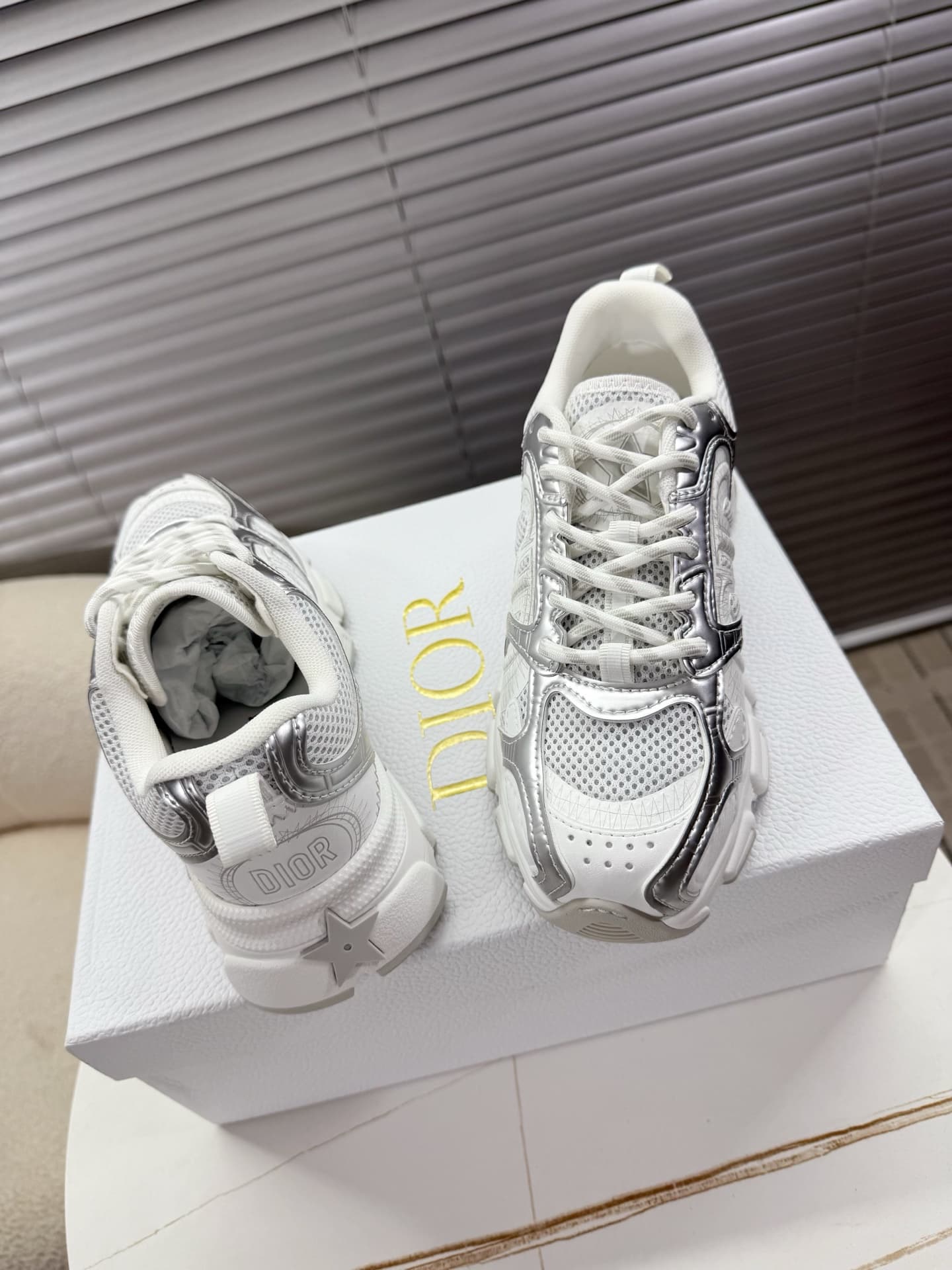 Dior Chrono Sneaker Shoes Women