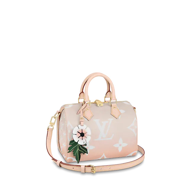 Louis Vuitton SPEEDY BANDOULIÈRE 25 Monogram Giant coated canvas Brume Gray M45722 High