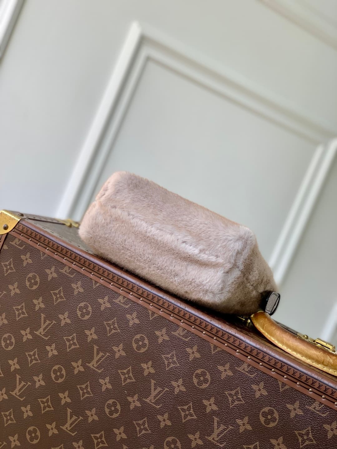 Louis Vuitton Hills Pochette in soft mink fur M15031 High