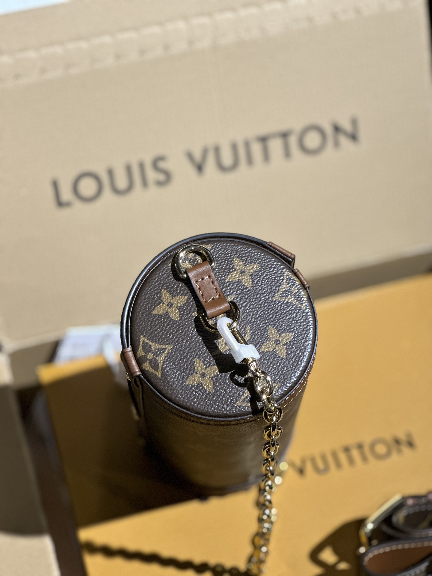 Louis Vuitton Papillon Trunk Monogram coated canvas M57835 High