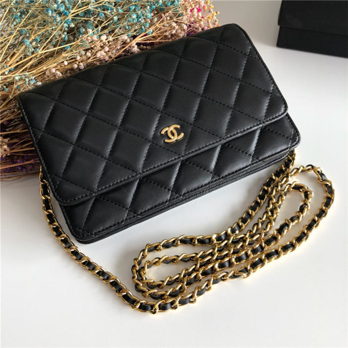 Classic Wallet on Chain A33814 Lambskin Black Silver Metal B