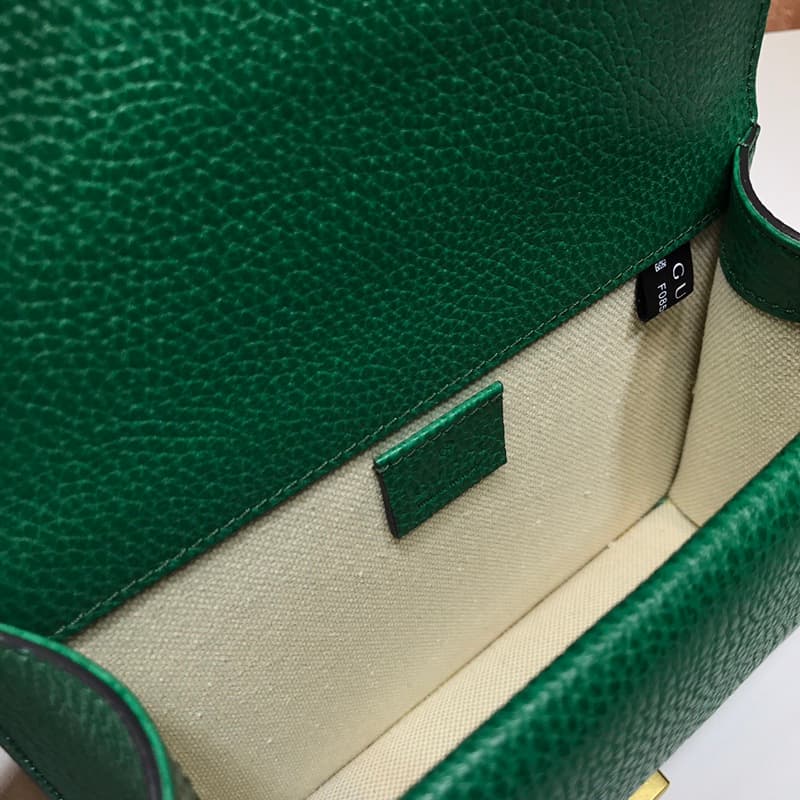 Dionysus Leather mini Bag 421970 Green High
