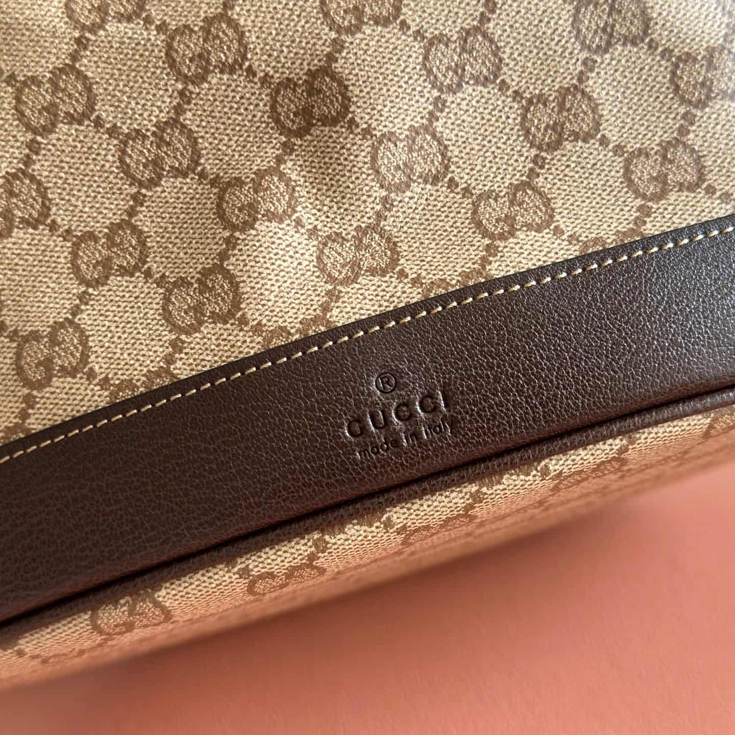 Gucci Venice large bucket bag Sand and dark brown GG coated canvas 875238 High