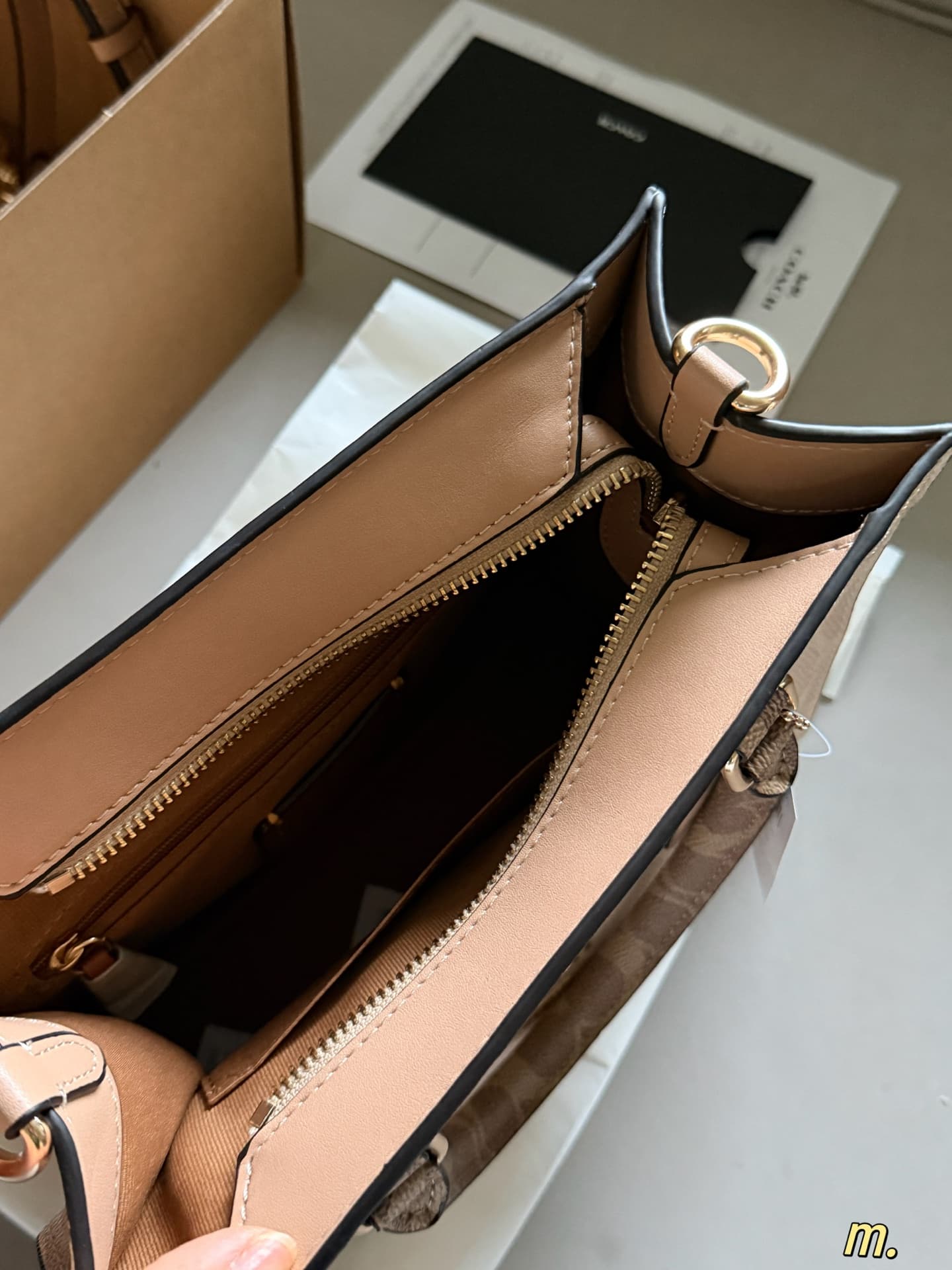 Coach Maggie Small Tote Bag Signature Canvas High