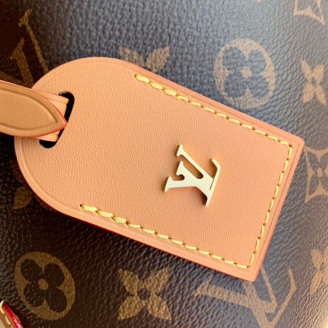 Louis Vuitton CarryAll BB Monogram coated canvas M13014 High