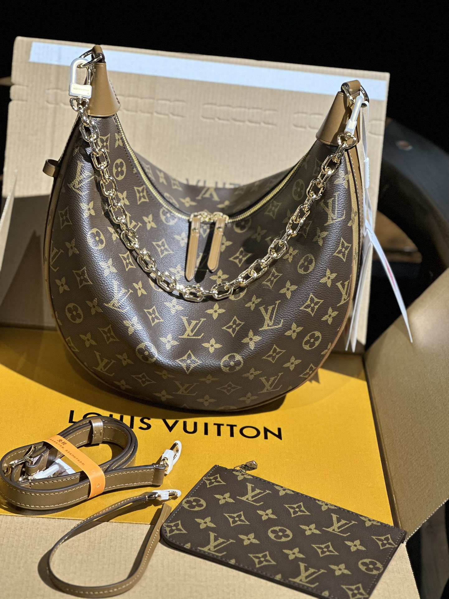 Louis Vuitton LOOP HOBO Monogram and Monogram Reverse coated canvas M46311 High