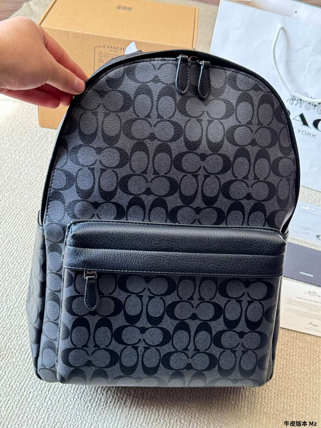 Coach Charles Backpack In Signature Canvas