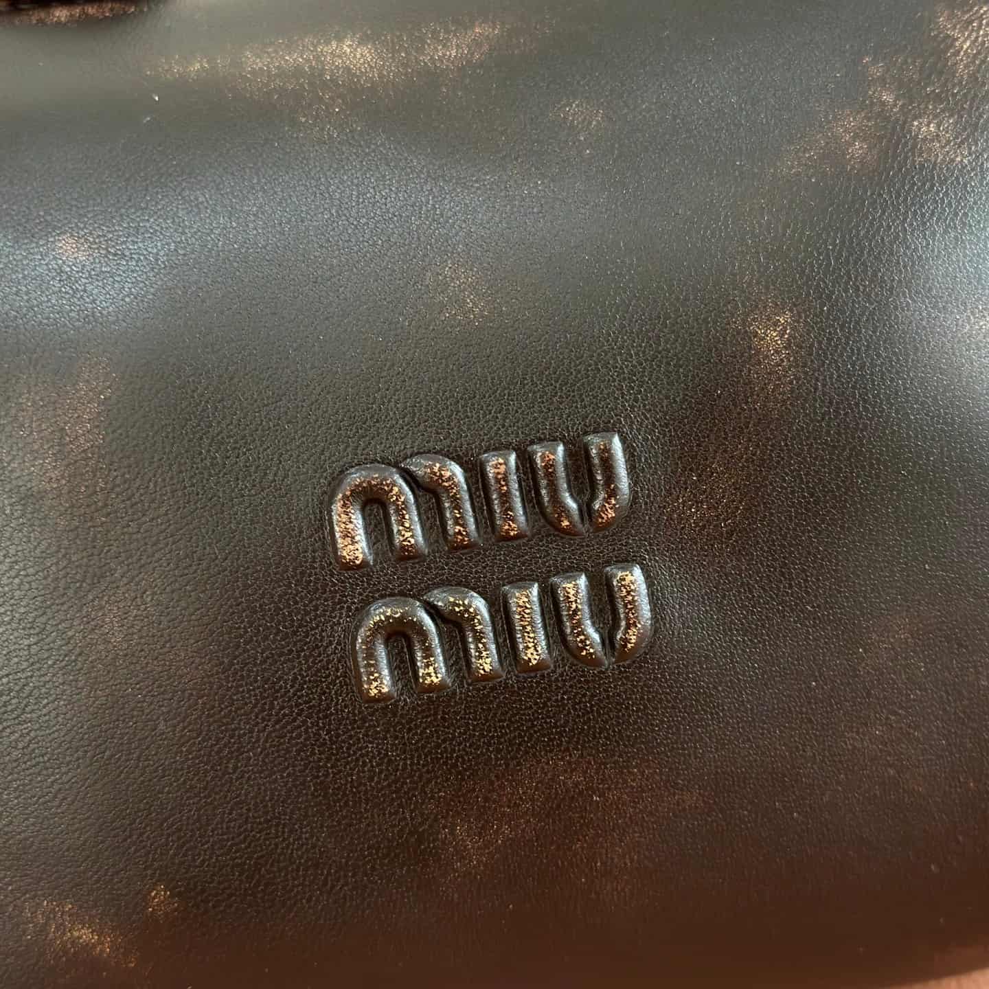 Miu Miu Leather pouch Coffee Brown/Green 5NE841 High
