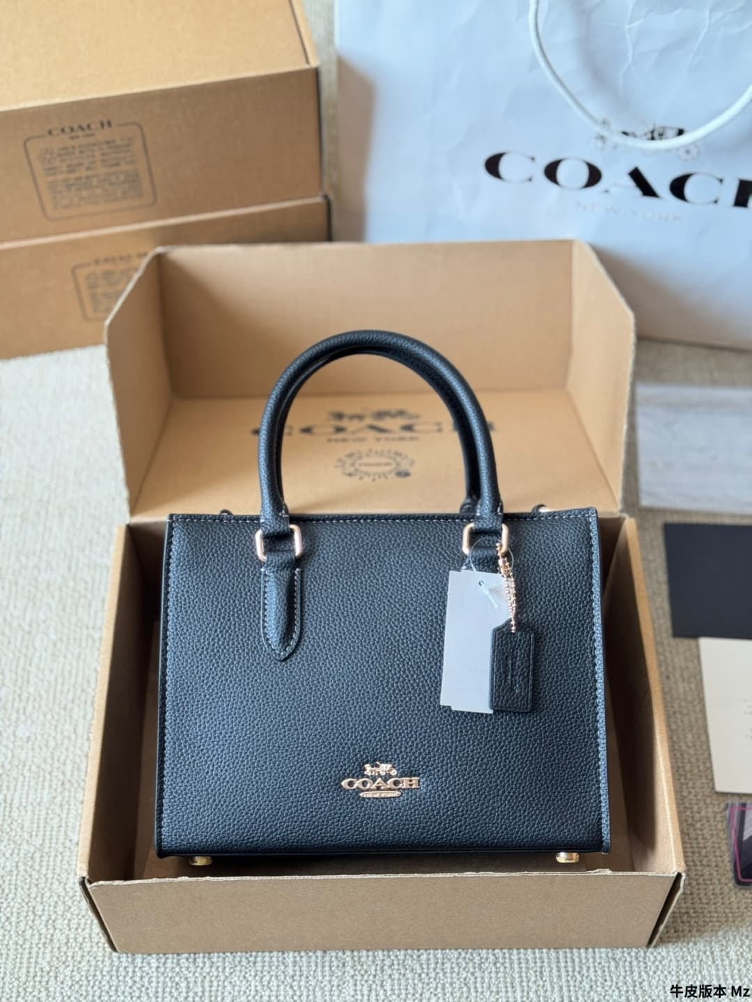 Coach Maggie Small Tote Bag