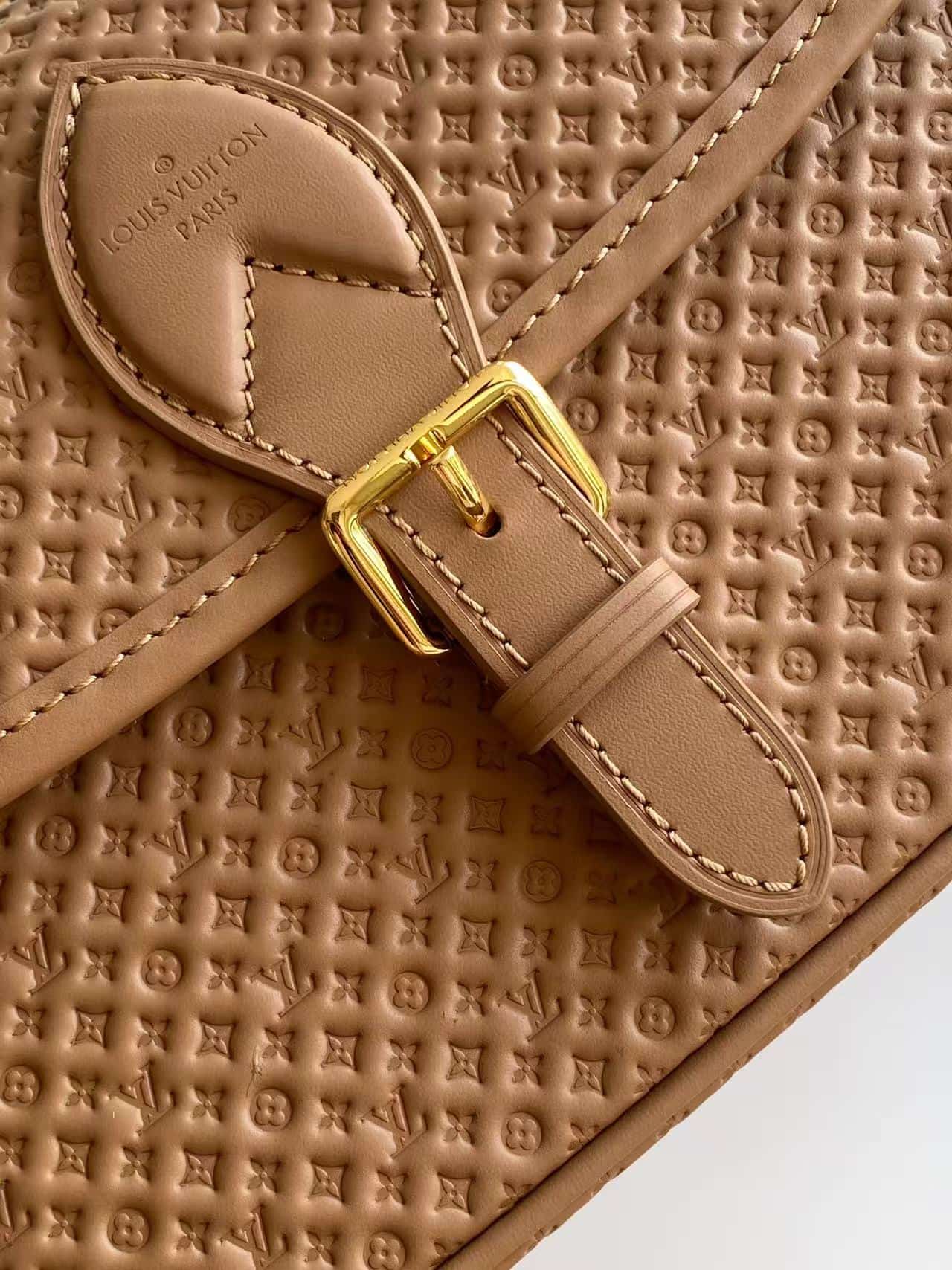 Louis Vuitton Diane Noisette Calfskin leather M29162 High