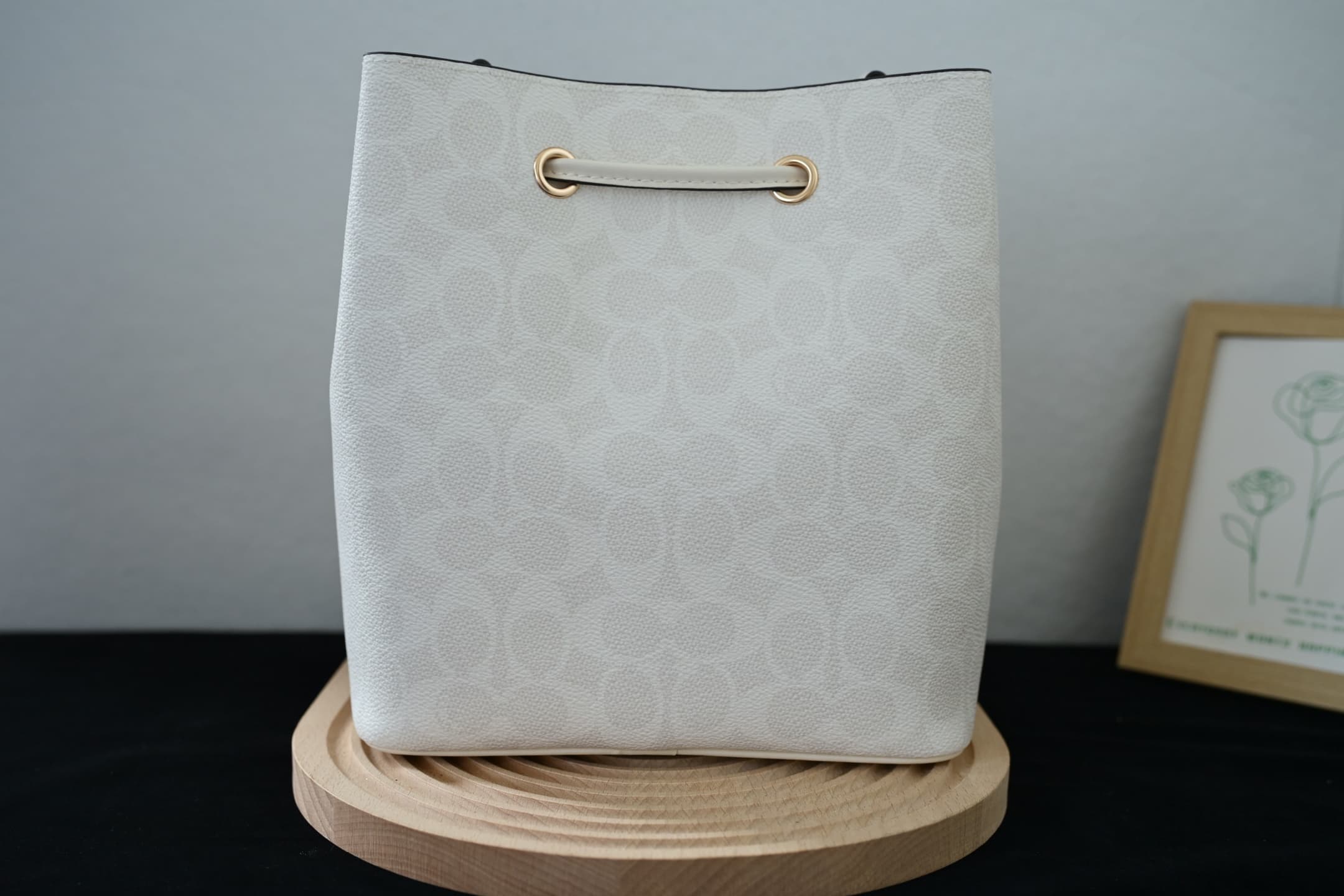 COACH Rowan Bucket Bag In White Signature Canvas High
