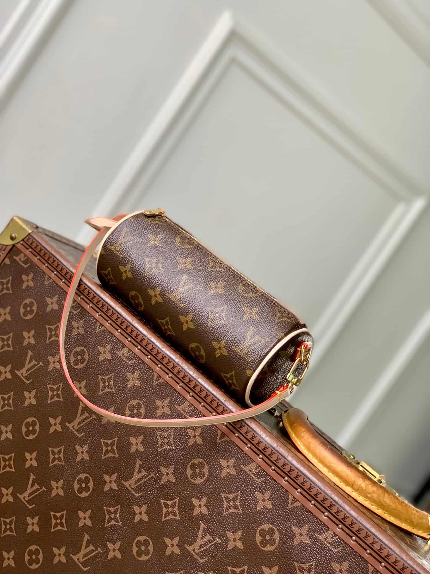 Louis Vuitton Pochette Papillon Monogram coated canvas M25703 High