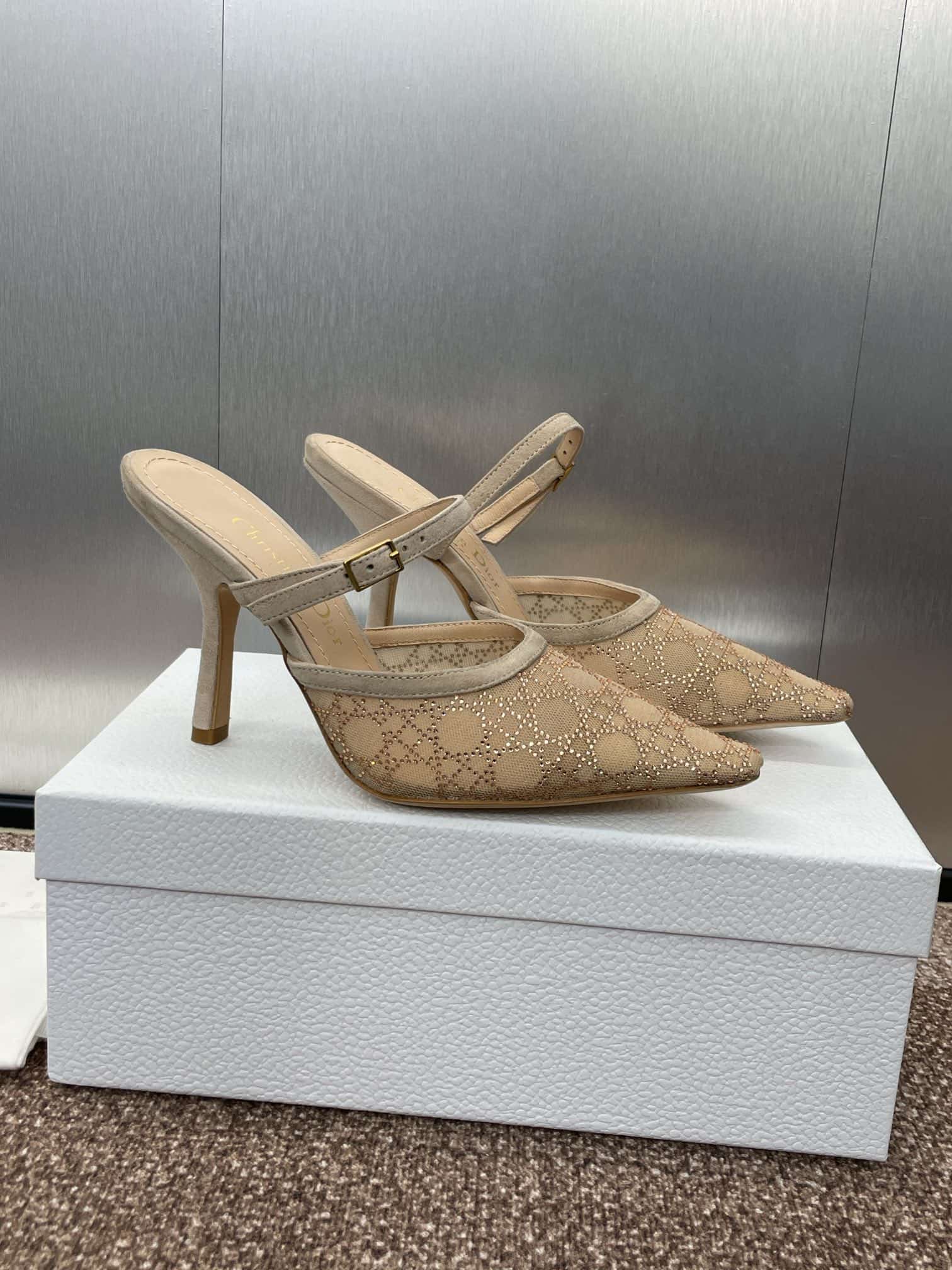 Dior Capture Heeled Mule shoes High Women