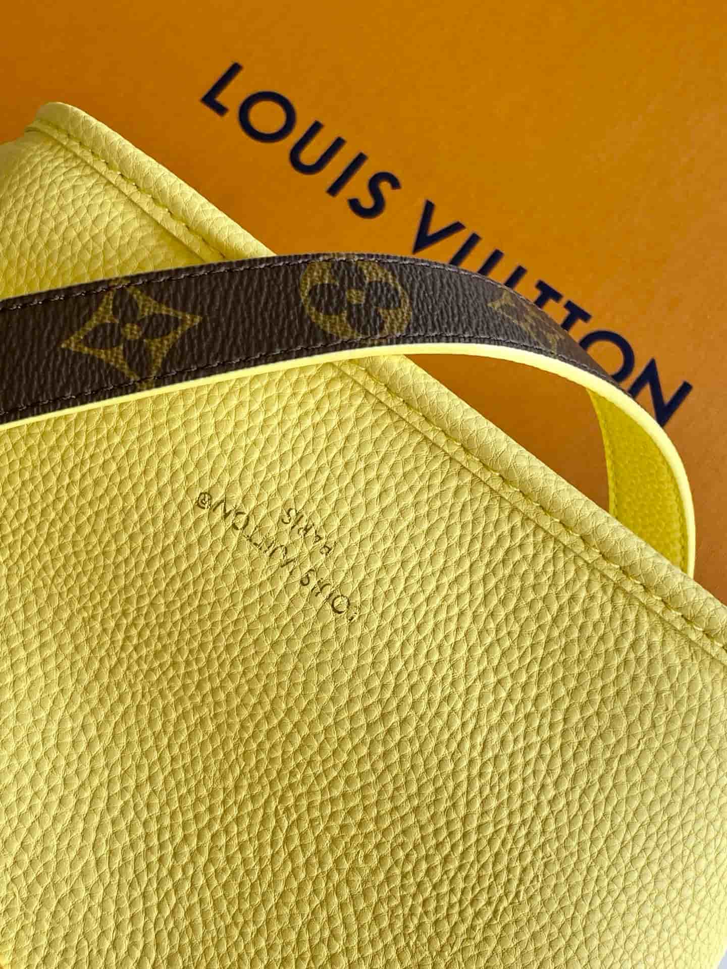 Louis Vuitton Neverfull Inside Out BB Banane Coated canvas M29228 High