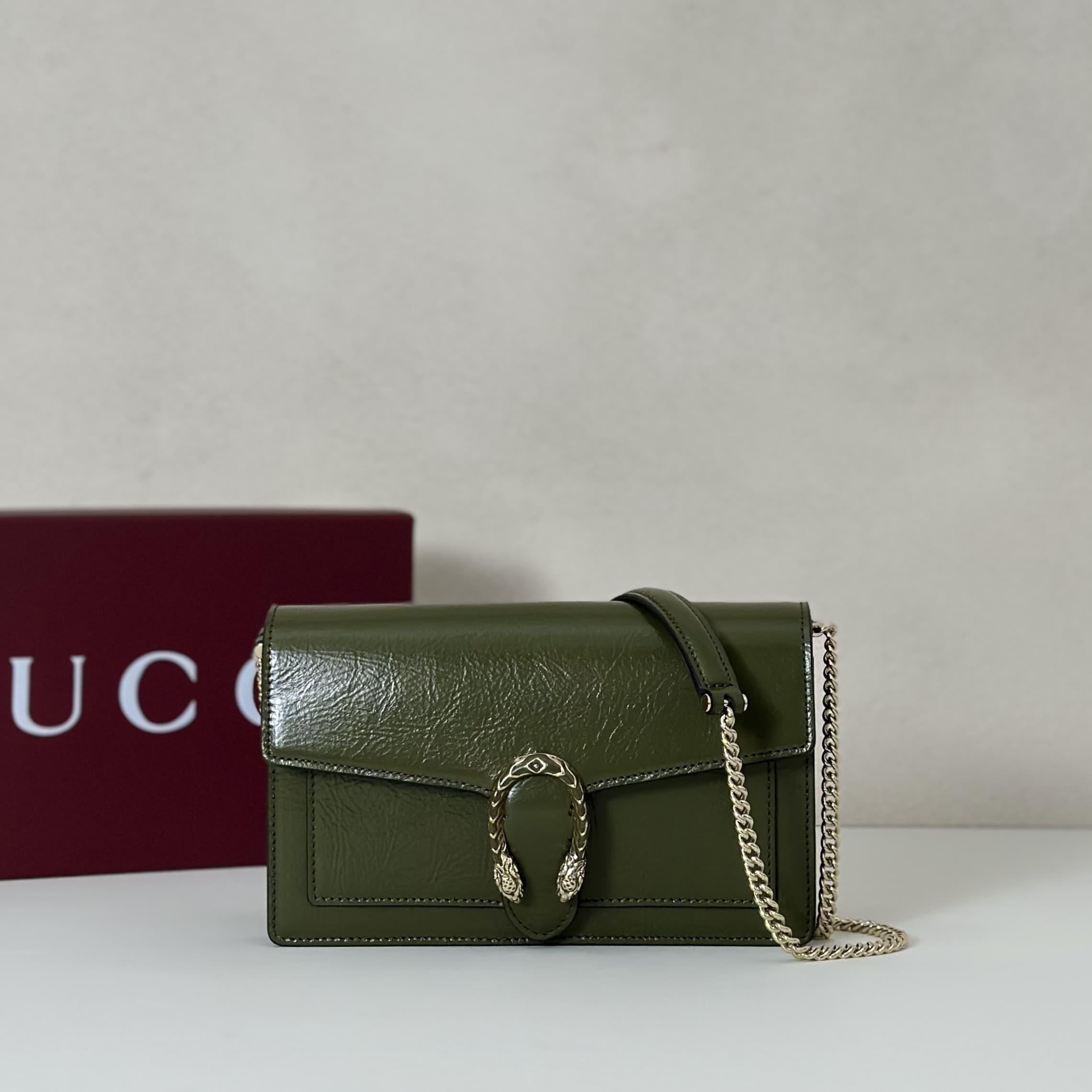 DIONYSUS WALLET ON CHAIN 837374 Green leather High