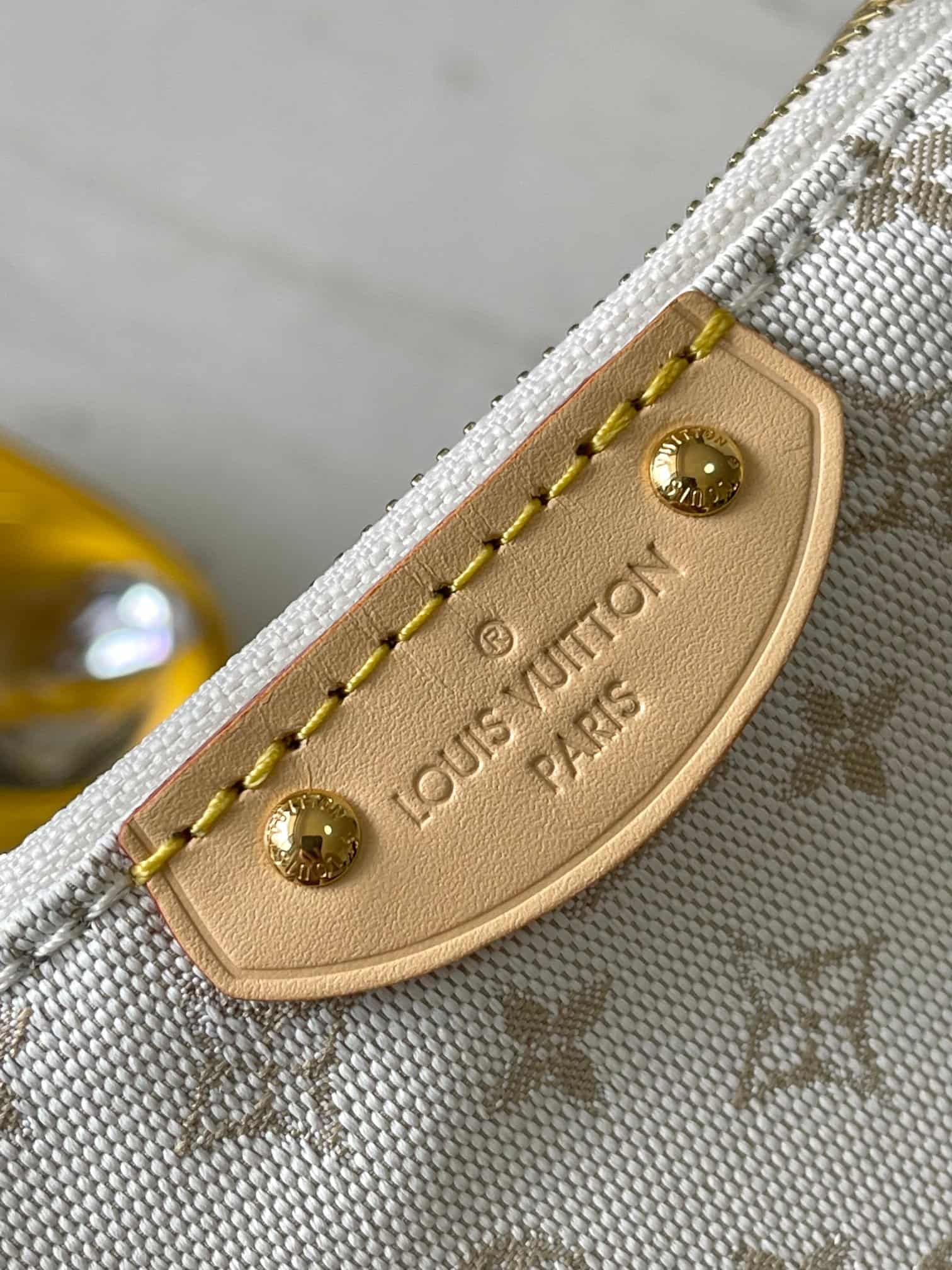 Louis Vuitton Hills Pochette Mastic Polyamide M12433 TOP