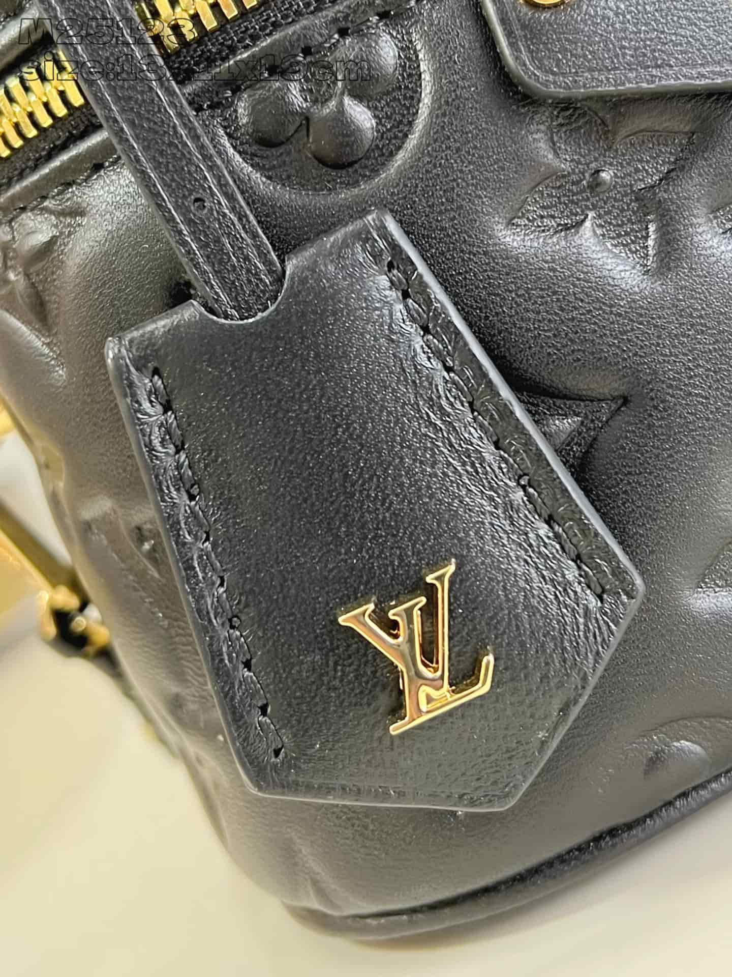 Louis Vuitton Vanity PM Black Puffy lambskin M25123 High