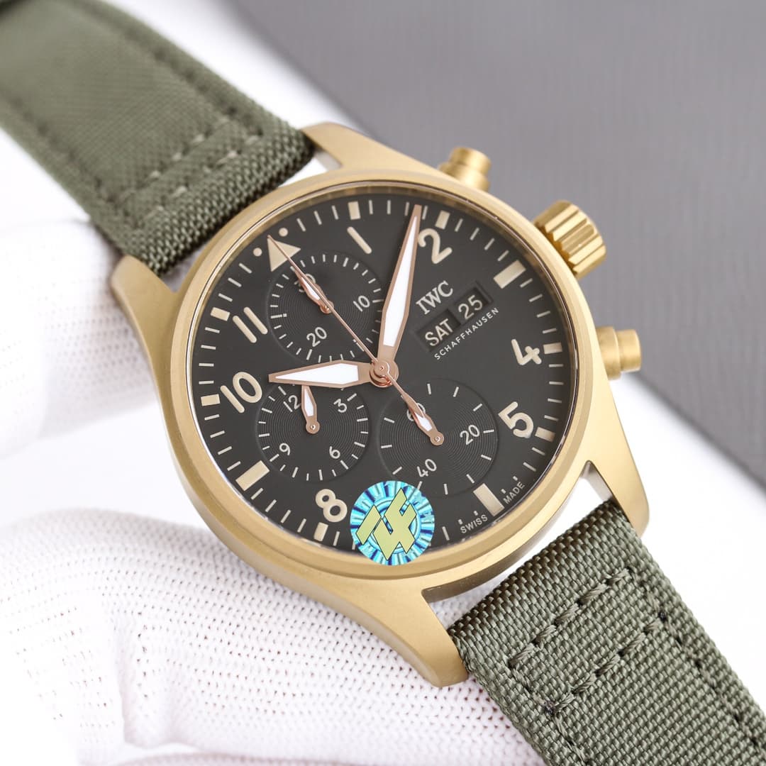 IWC Pilot's Watch Chronograph IW387907 Watch TOP