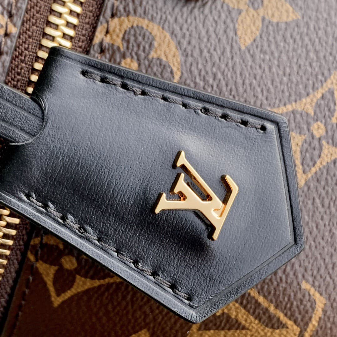 Louis Vuitton Vanity PM Bag Monogram and Reverse M47128 High