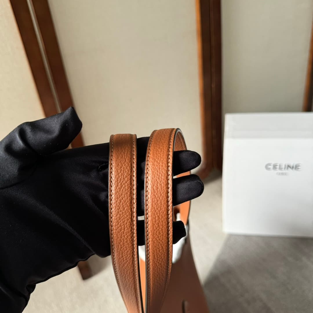 Celine Cabas Anais Tote Bag in Tan Grained Calfskin High