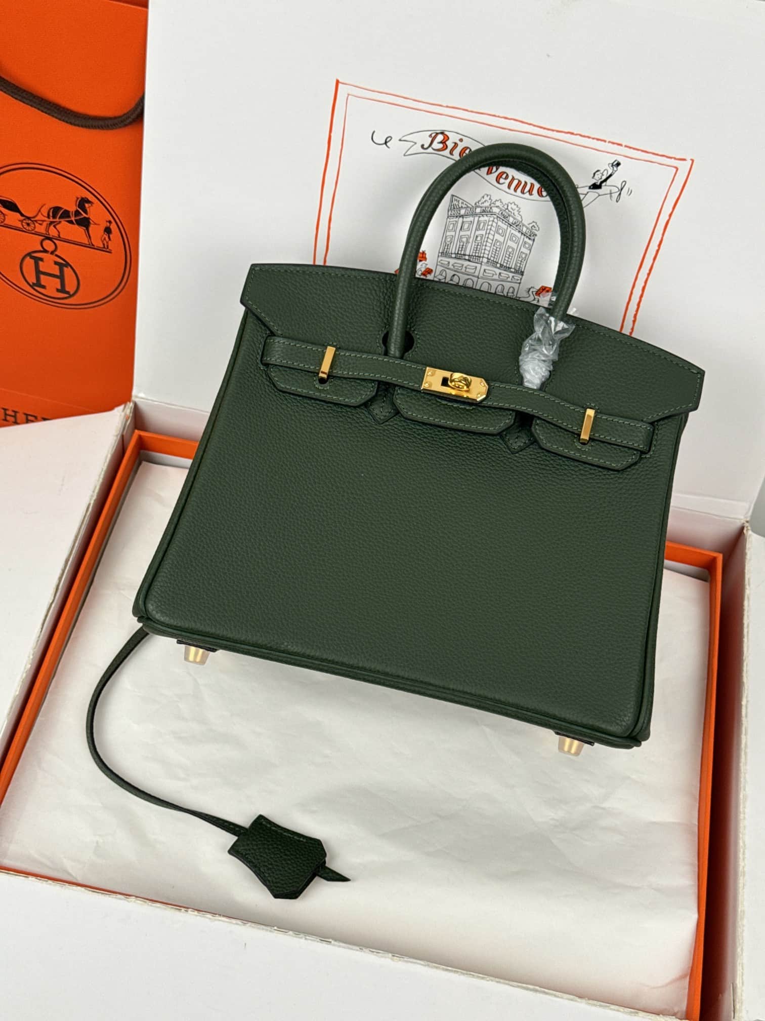 Hermes Birkin 25/30 Bag Togo Calfskin Leather Vert Anglais High