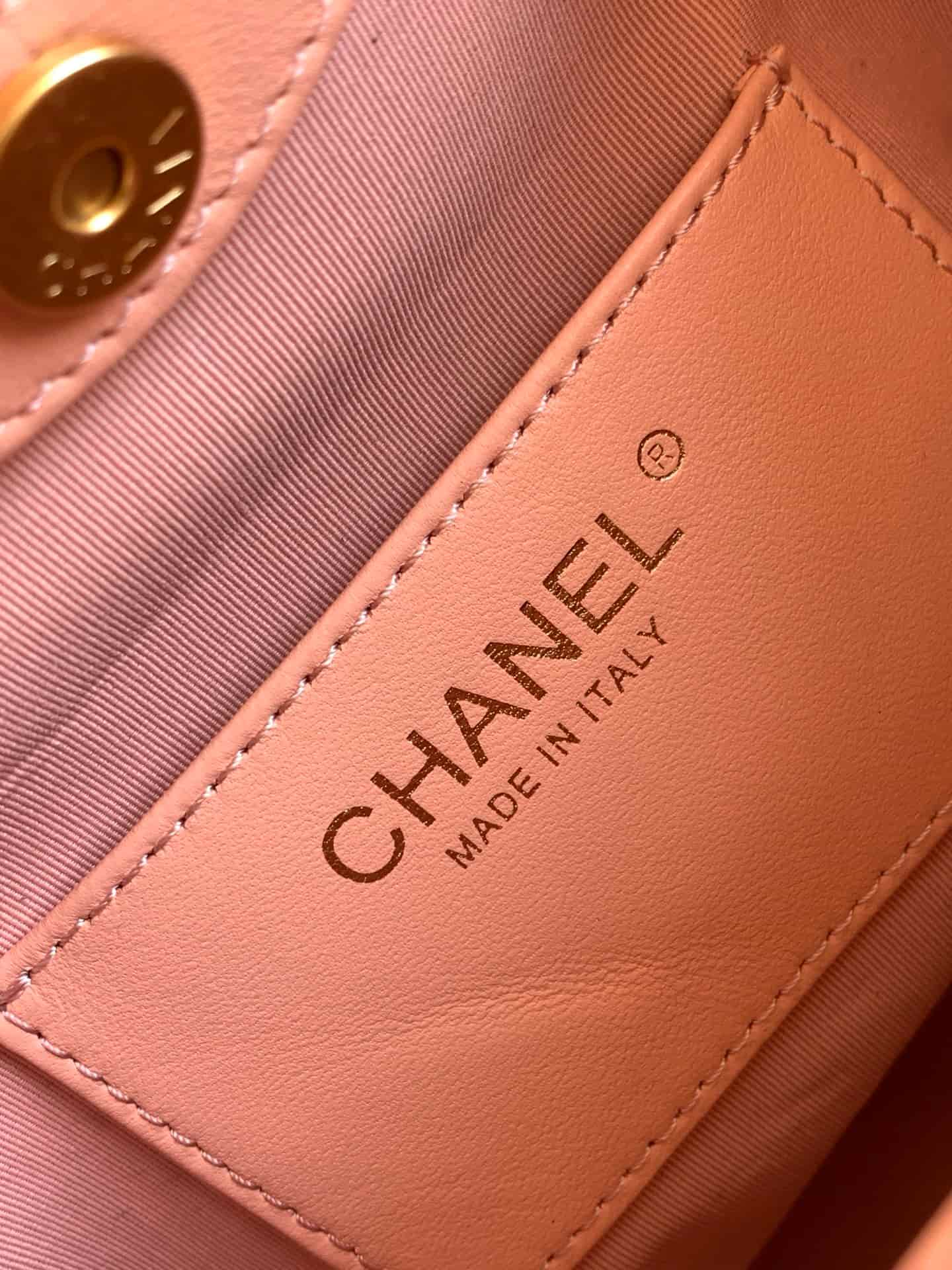 Chanel Medium Hobo Bag Lambskin-Shell Effect Plexi & Gold-Tone Metal Pink AS6010 High