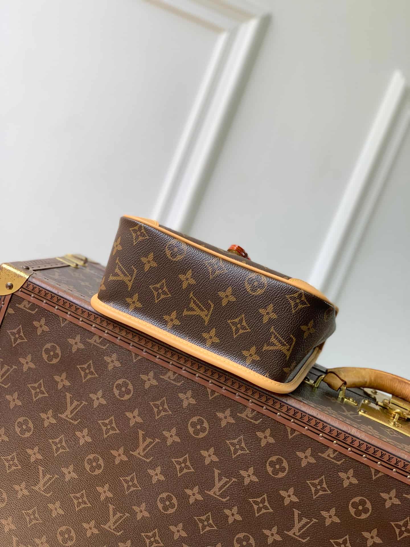 Louis Vuitton DIANE Backpack Monogram coated canvas M29766 High