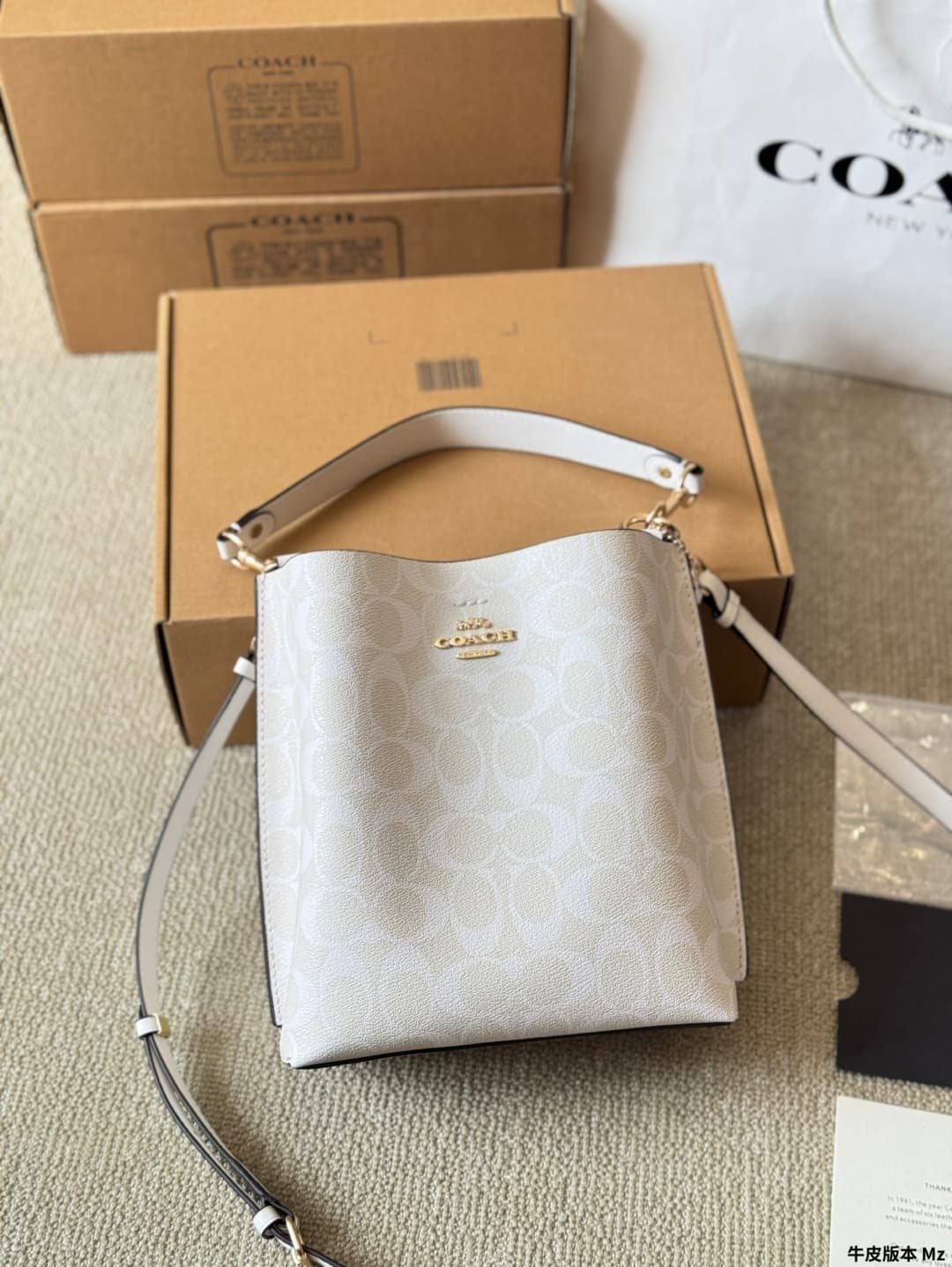 Coach Mollie Bucket Bag 22 In Signature Canvas