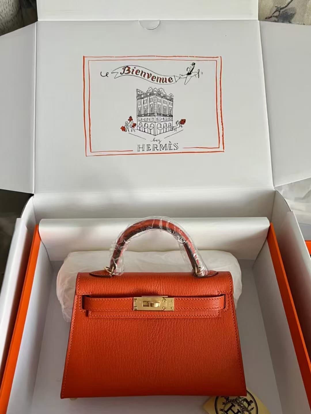 Hermes Kelly Mini II Bag Chevere Mysore Leather Silver/Gold Metal WAX High Customizing Style