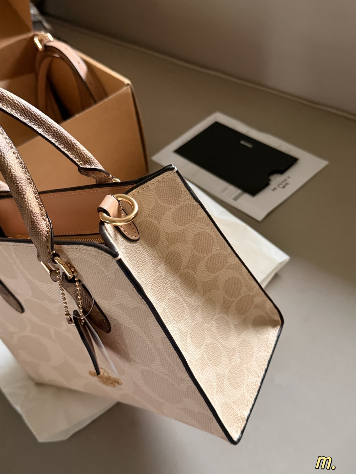 Coach Maggie Small Tote Bag Signature Canvas High