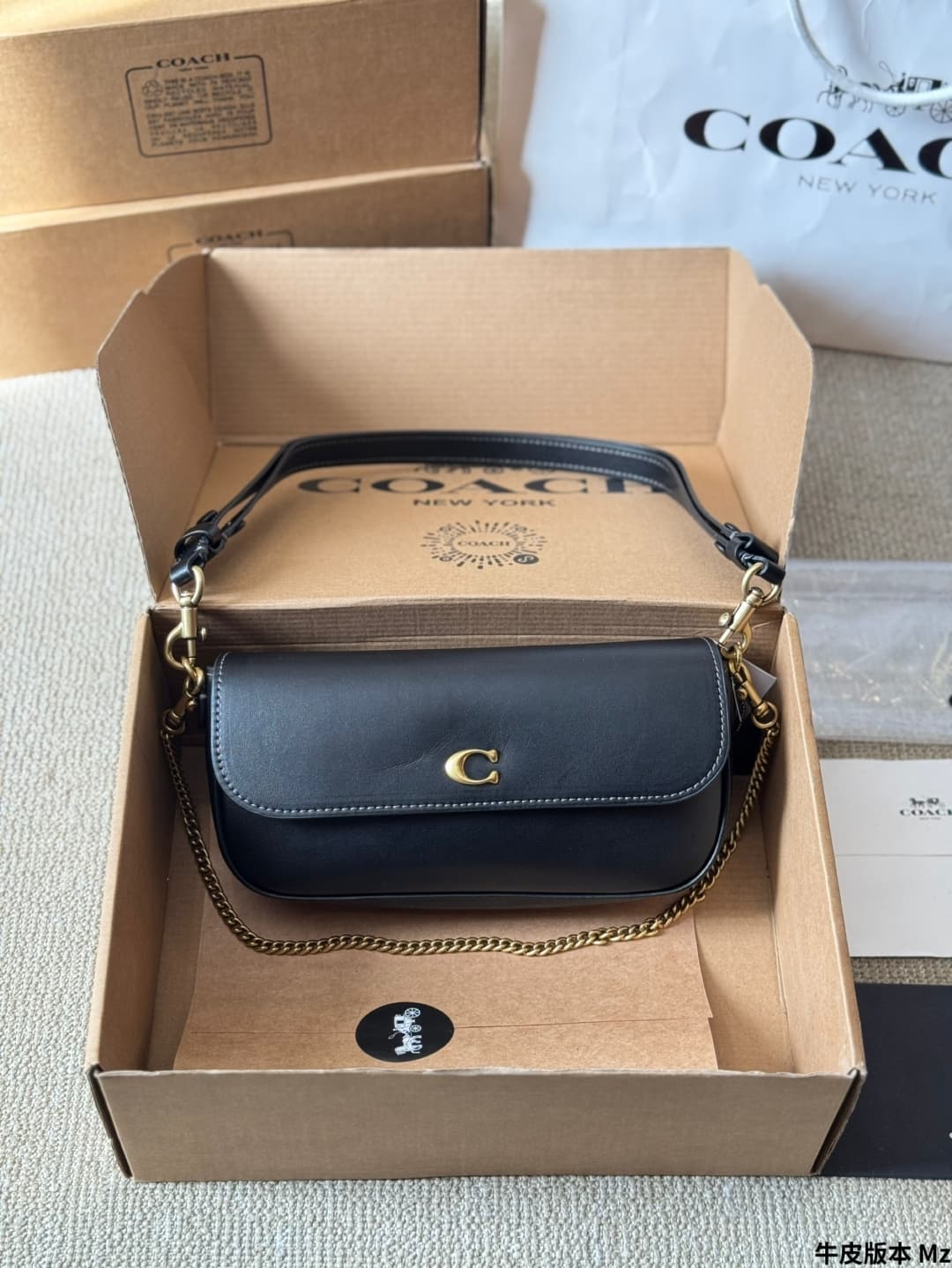 Coach Brook Flap Chain Bag