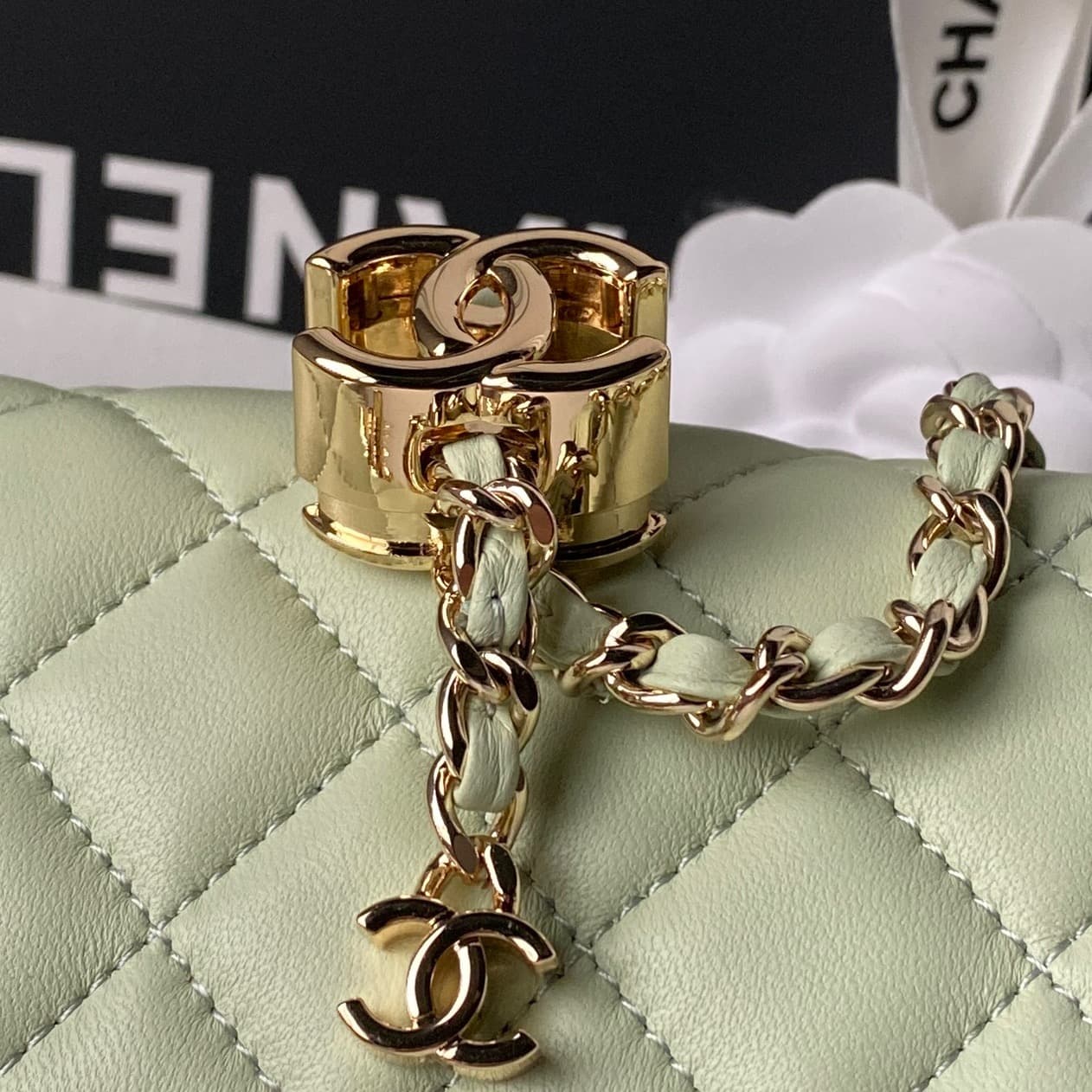 Chanel Classic Flap Bag Lambskin & Gold-Tone Metal AS5759 Light Green A