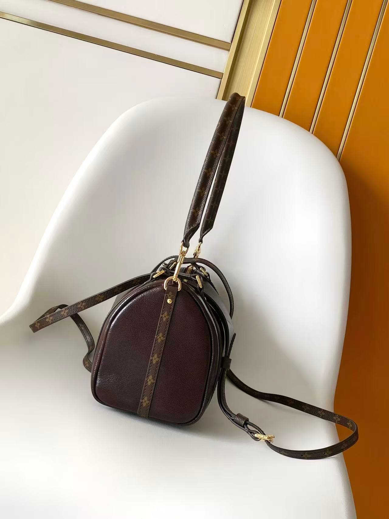 Louis Vuitton Express bag in Mahogany Calfskin M3A265 High