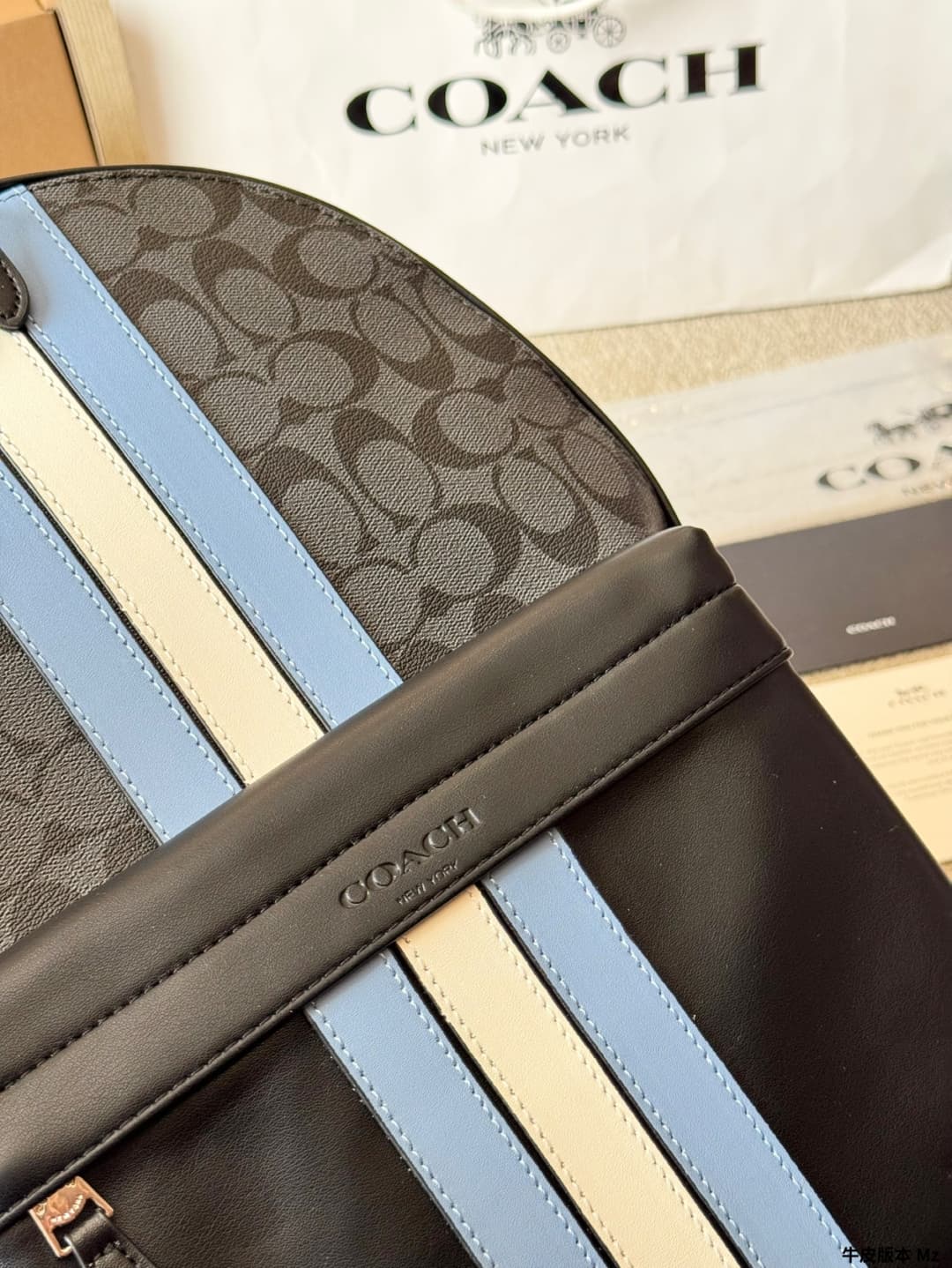 Coach West Backpack In Signature Canvas