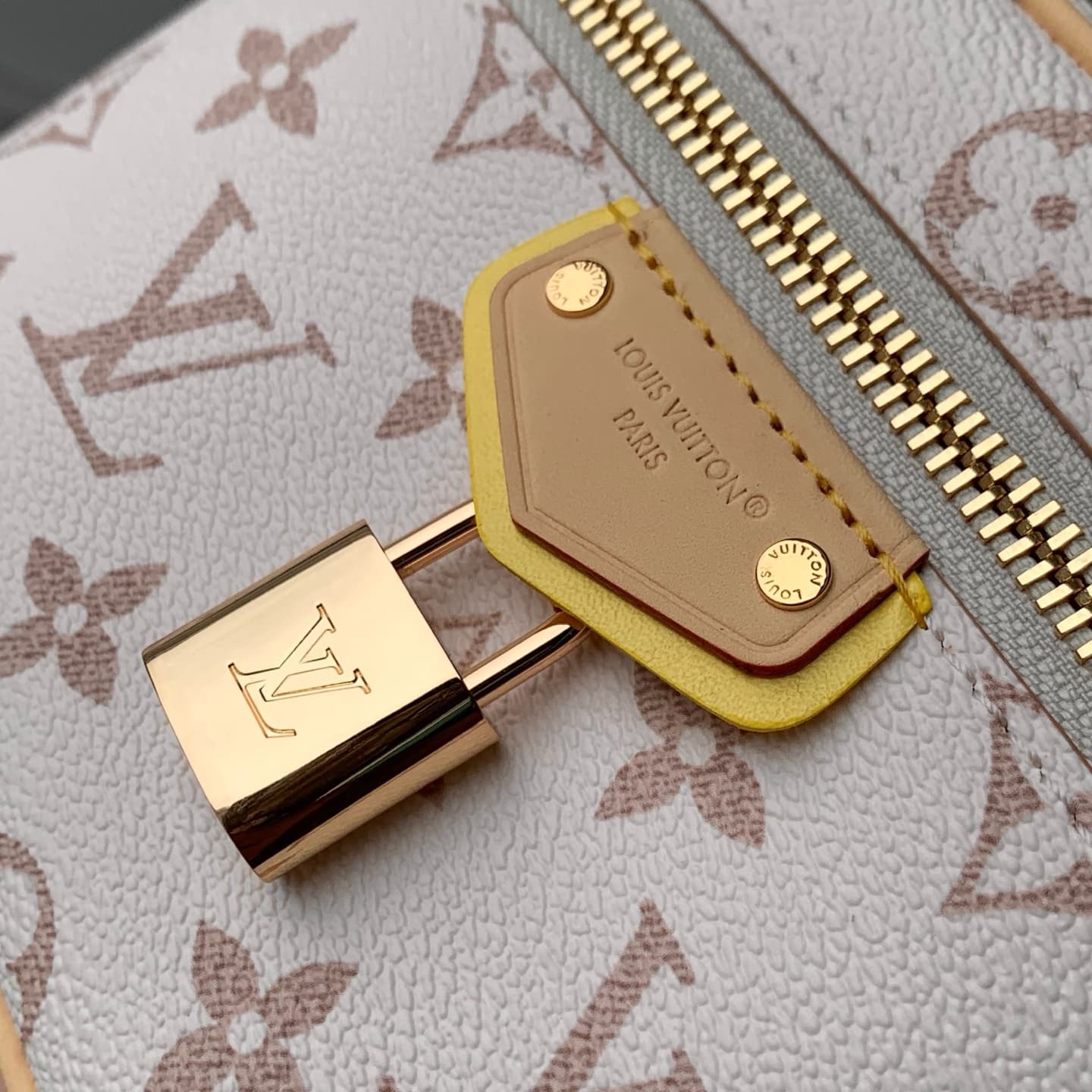 Louis Vuitton Vanity Chain Pouch Monogram Dune Coated canvas M29782 High