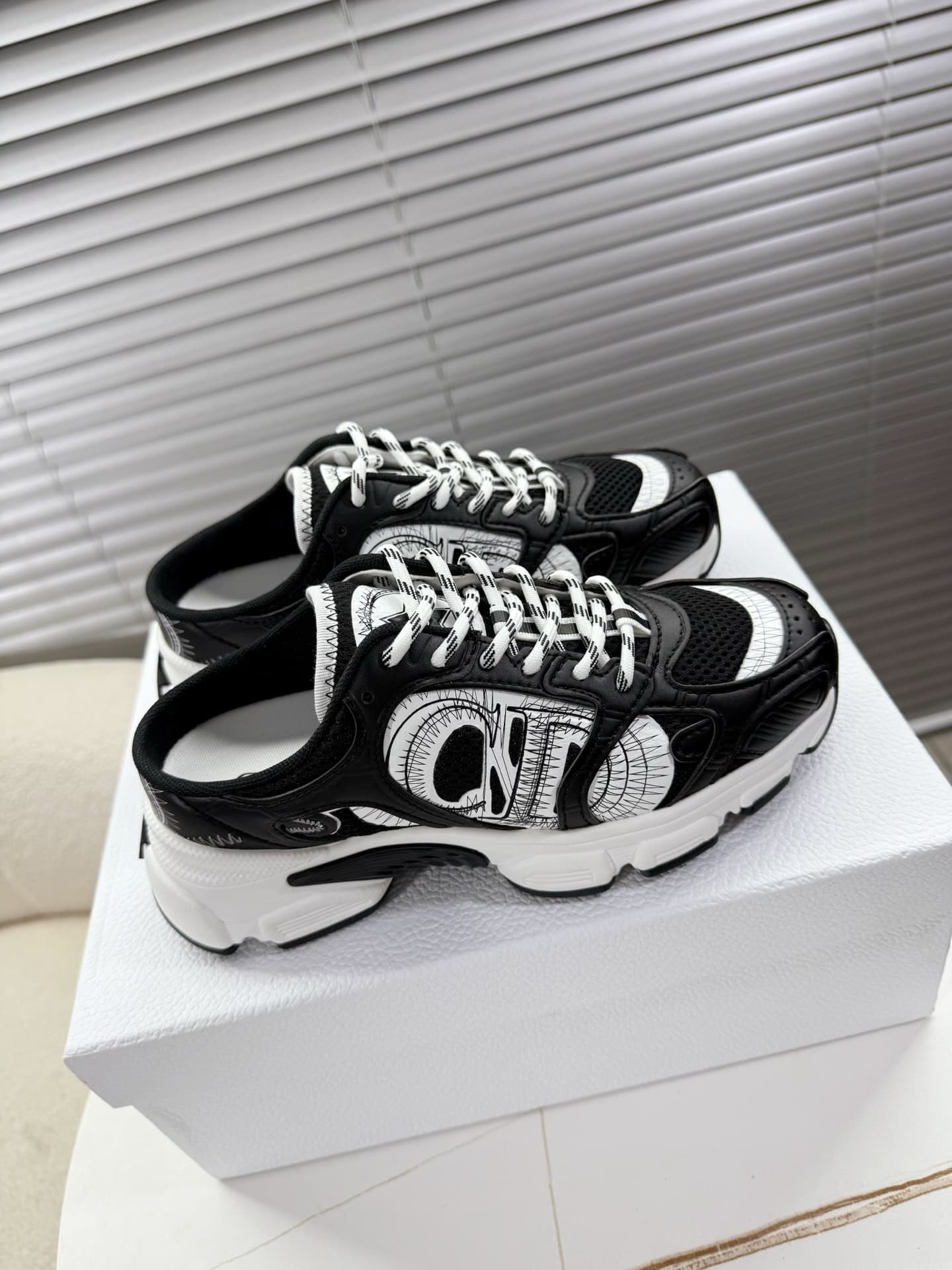 Dior Chrono Sneaker Shoes Women
