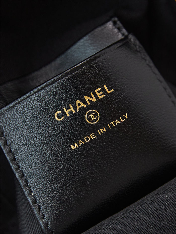 Chanel Mini Backpack Print Gold-Tone Metal AP3753 A