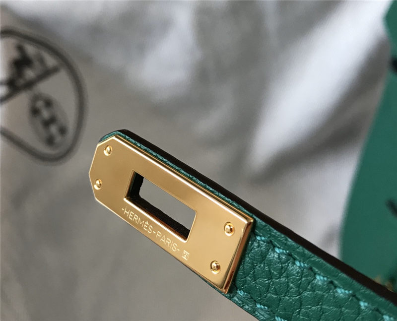 Hermes Birkin 25/30/35cm Bag Calfskin Silver/Gold Metal In  Vert Vertigo High