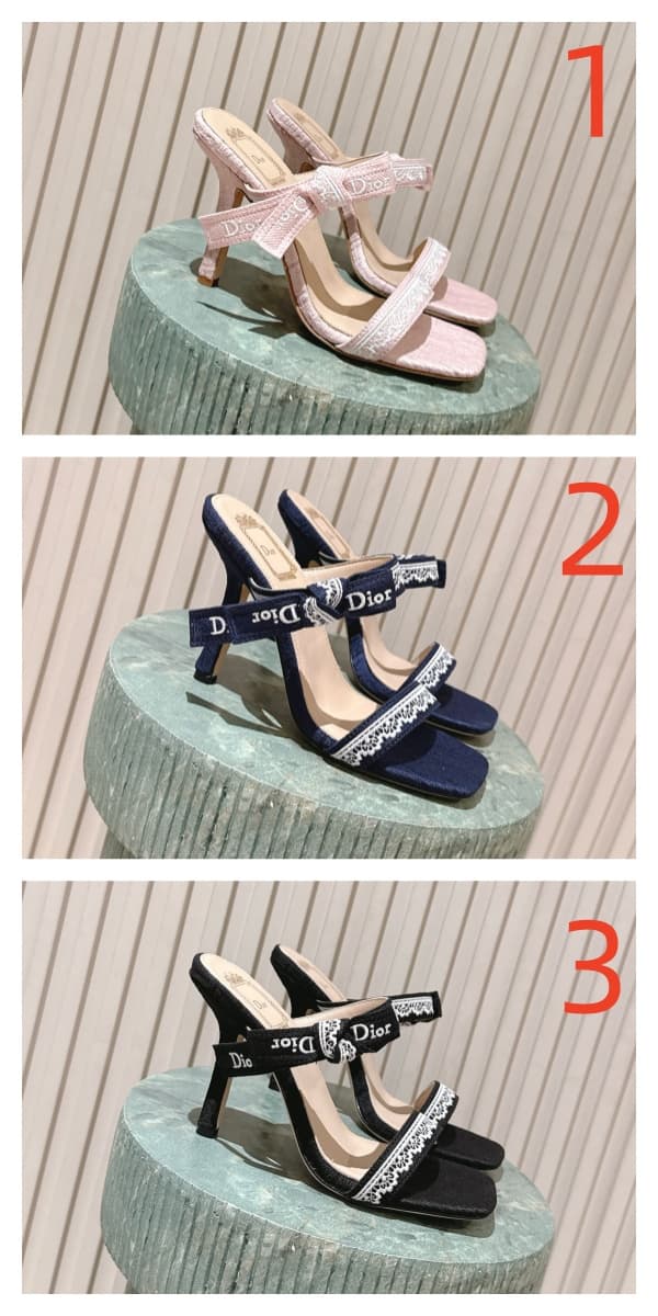 Dior Dentelle Heeled Slides
